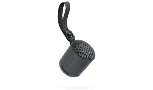 Sony SRS-XB100 Bluetooth Portable Speaker - Black - 
